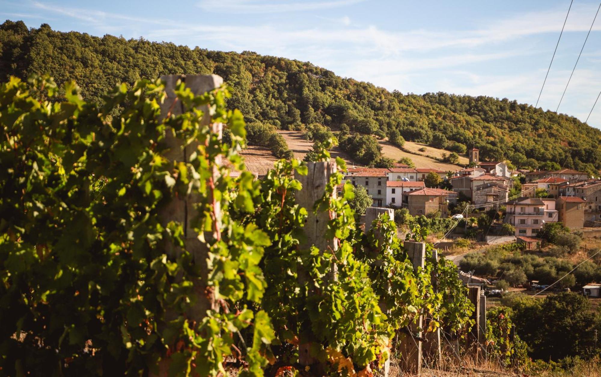 Bio Agriturismo Poggio Aione Сатурнія Екстер'єр фото