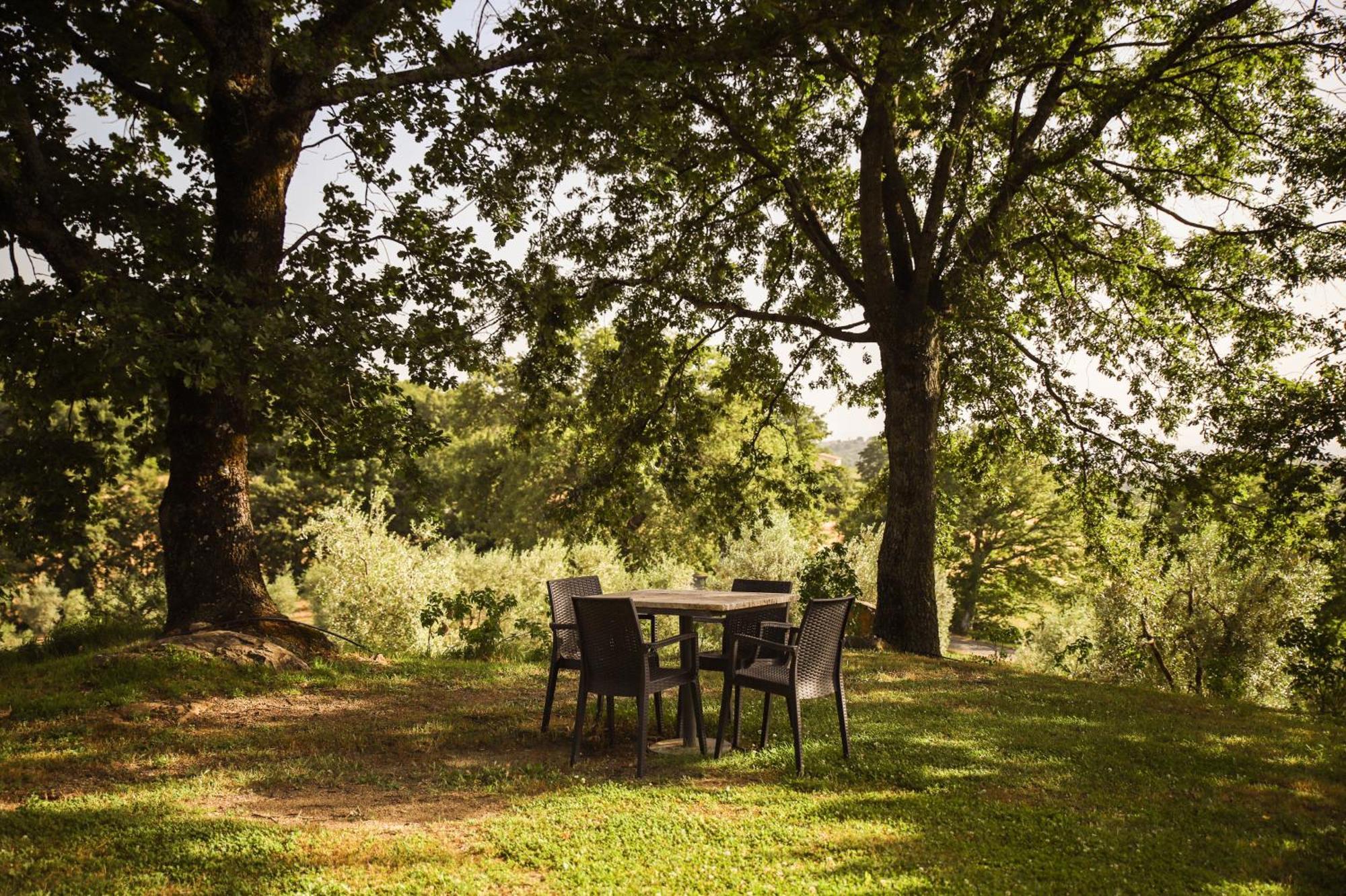 Bio Agriturismo Poggio Aione Сатурнія Екстер'єр фото