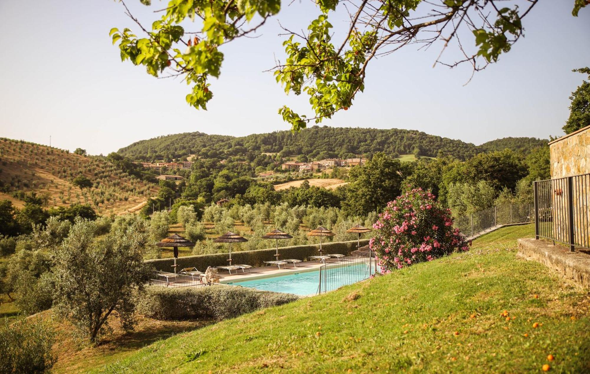 Bio Agriturismo Poggio Aione Сатурнія Екстер'єр фото